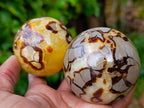 Polished Septerye Spheres x 5 From Mahajanga, Madagascar - Toprock Gemstones and Minerals 