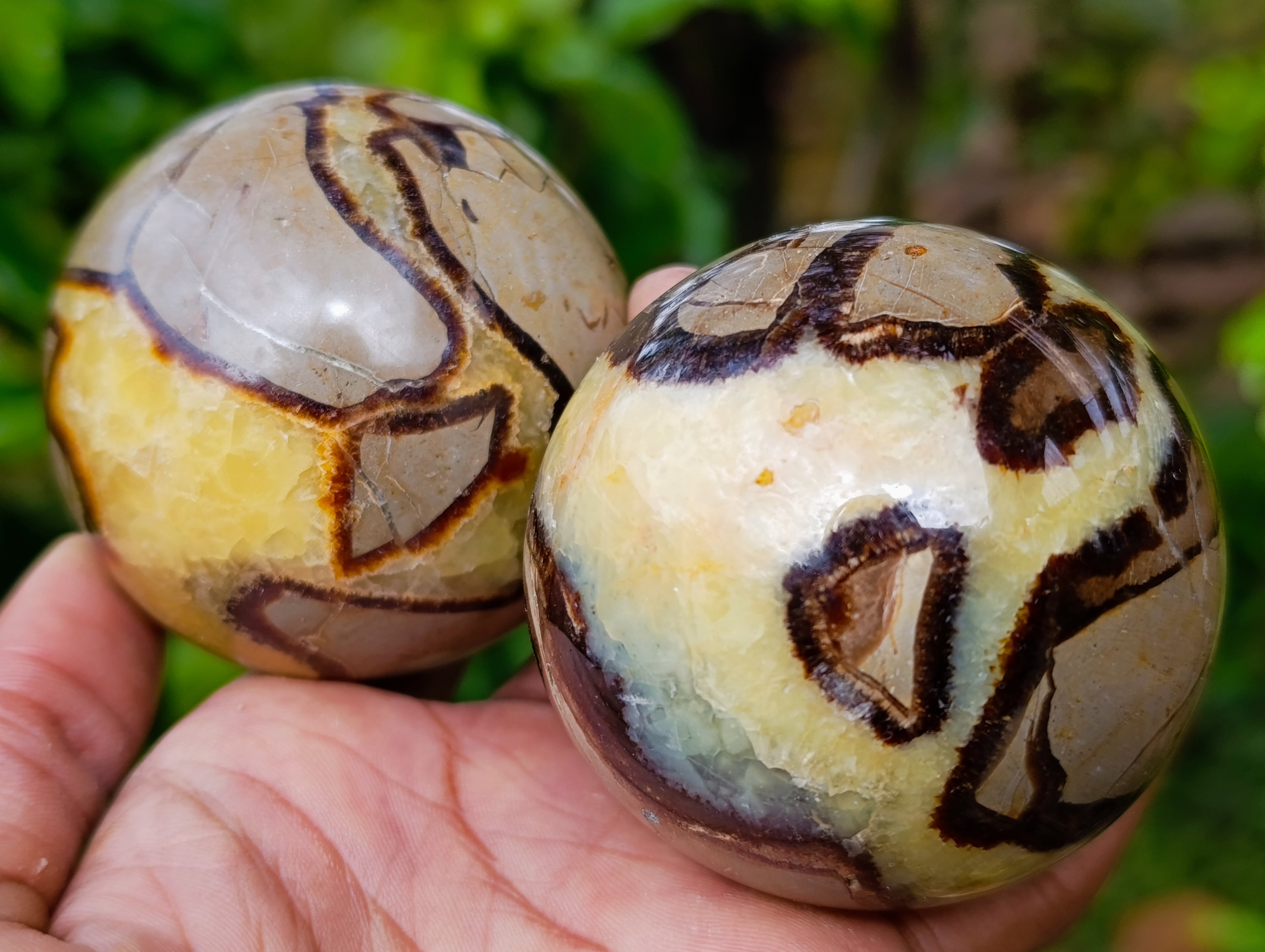 Polished Septerye Spheres x 5 From Mahajanga, Madagascar - Toprock Gemstones and Minerals 