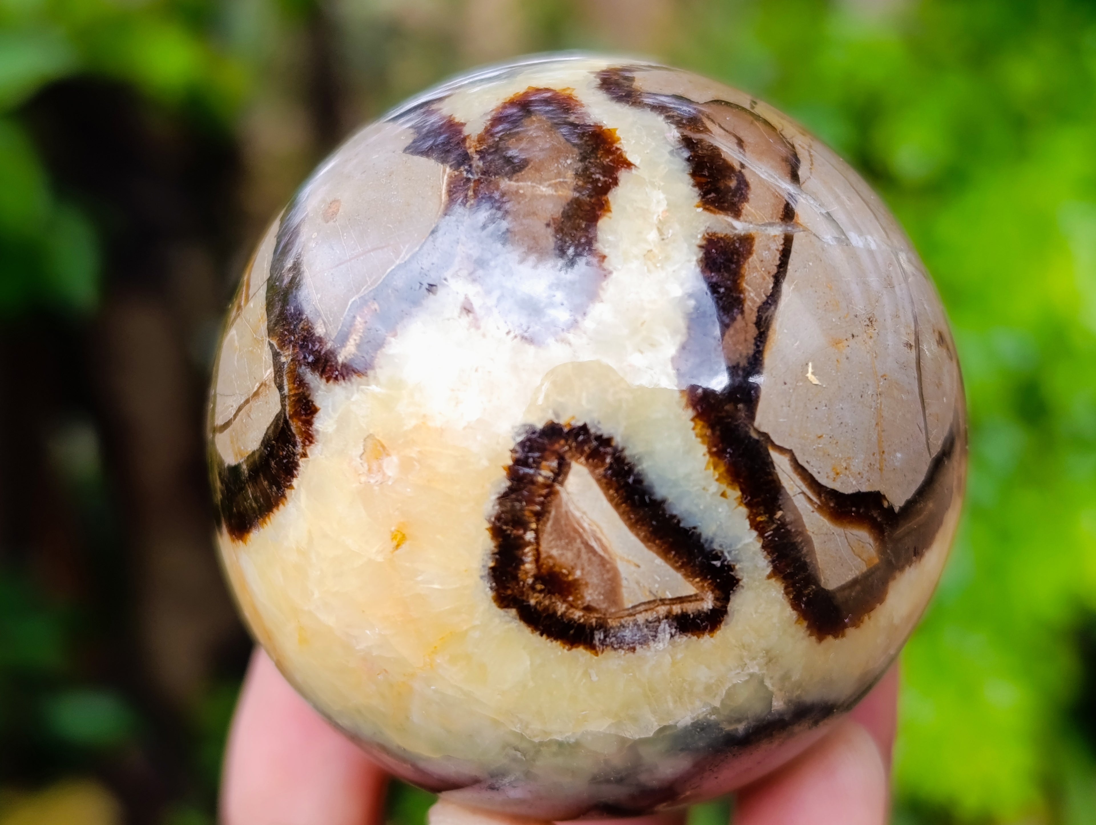 Polished Septerye Spheres x 5 From Mahajanga, Madagascar - Toprock Gemstones and Minerals 