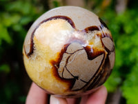 Polished Septerye Spheres x 5 From Mahajanga, Madagascar - Toprock Gemstones and Minerals 