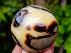 Polished Septerye Spheres x 5 From Mahajanga, Madagascar - Toprock Gemstones and Minerals 