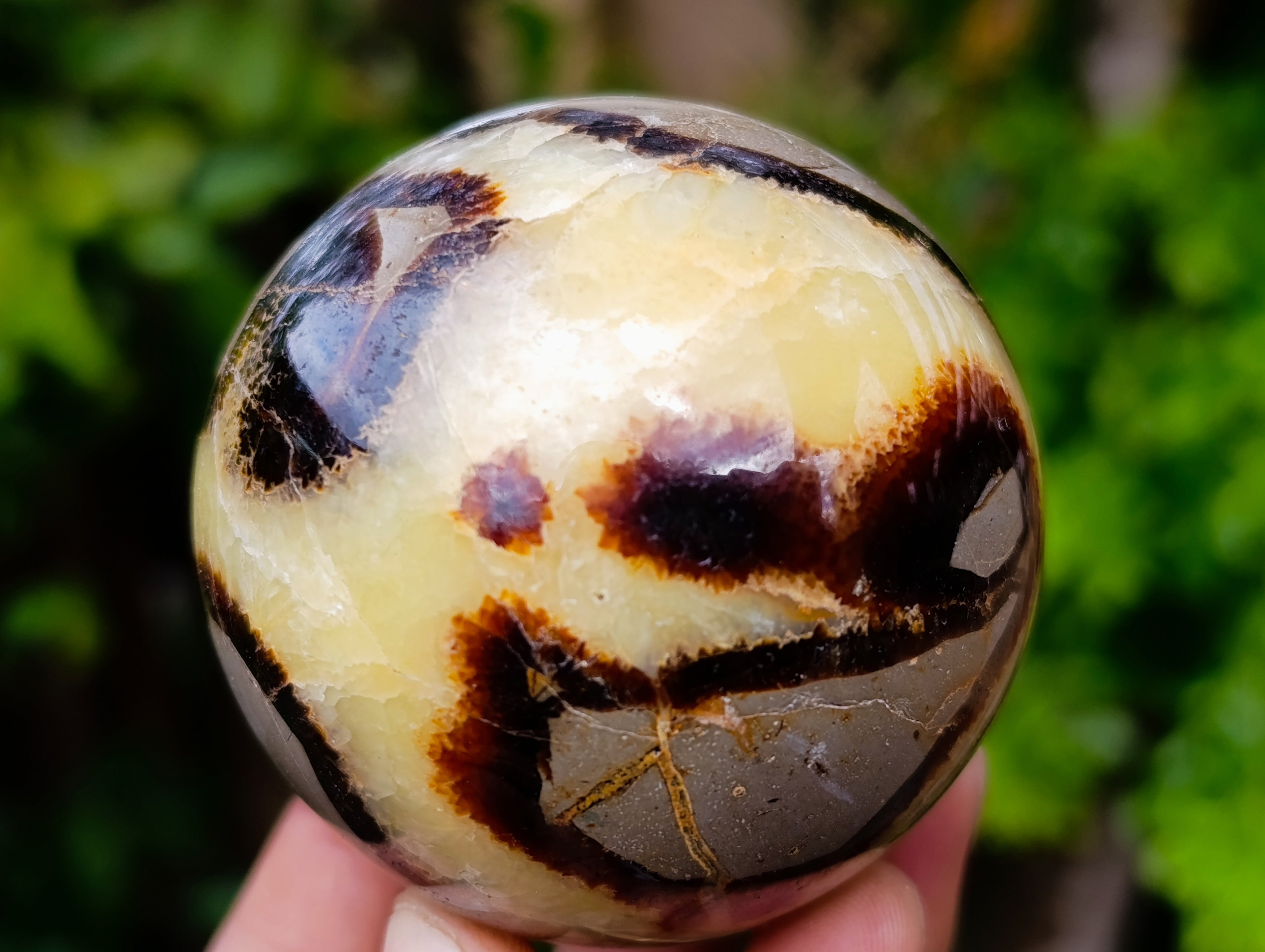 Polished Septerye Spheres x 5 From Mahajanga, Madagascar - Toprock Gemstones and Minerals 