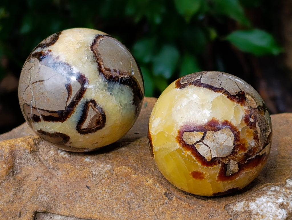 Polished Septerye Spheres x 5 From Mahajanga, Madagascar - Toprock Gemstones and Minerals 