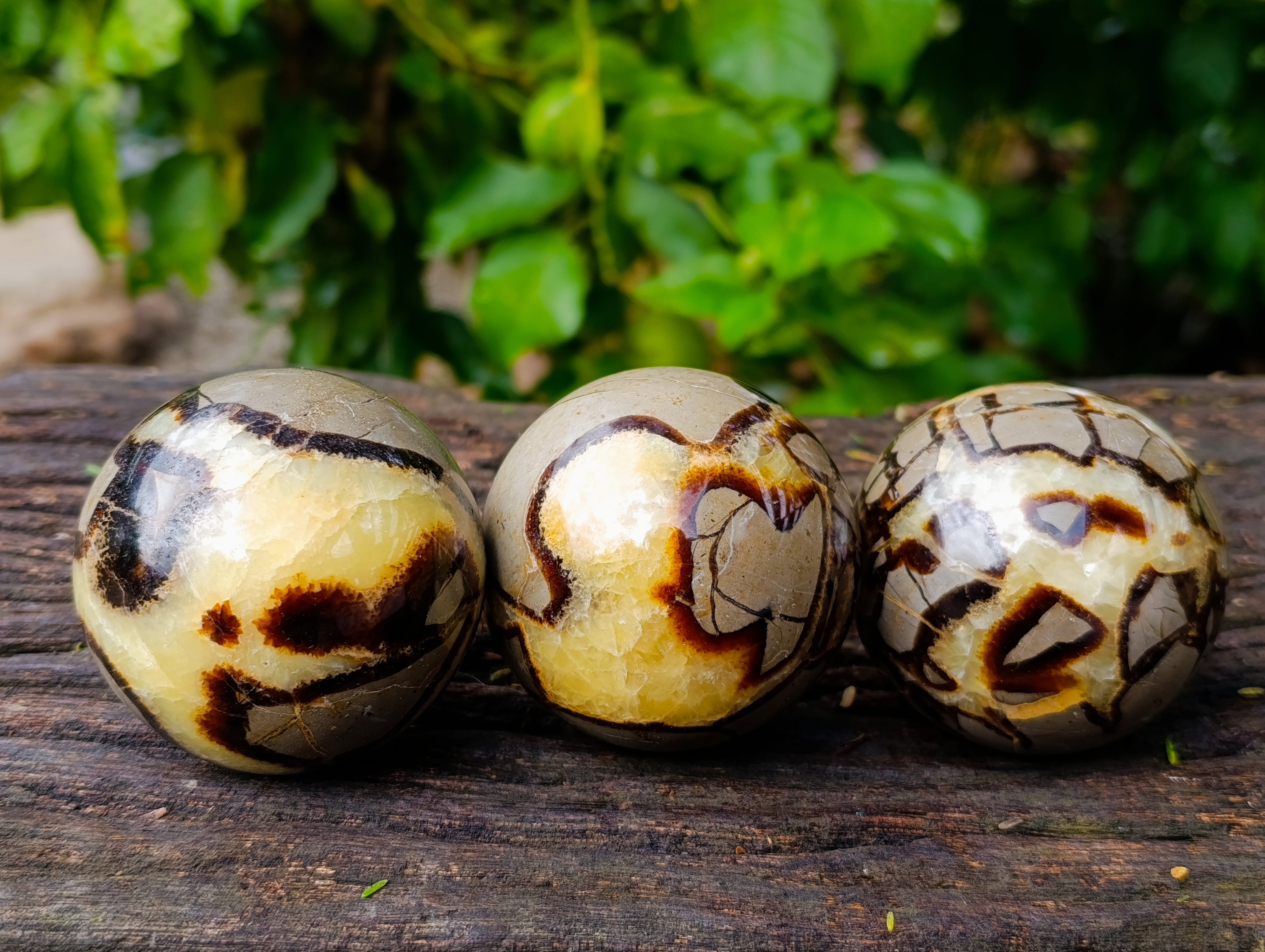 Polished Septerye Spheres x 5 From Mahajanga, Madagascar - Toprock Gemstones and Minerals 