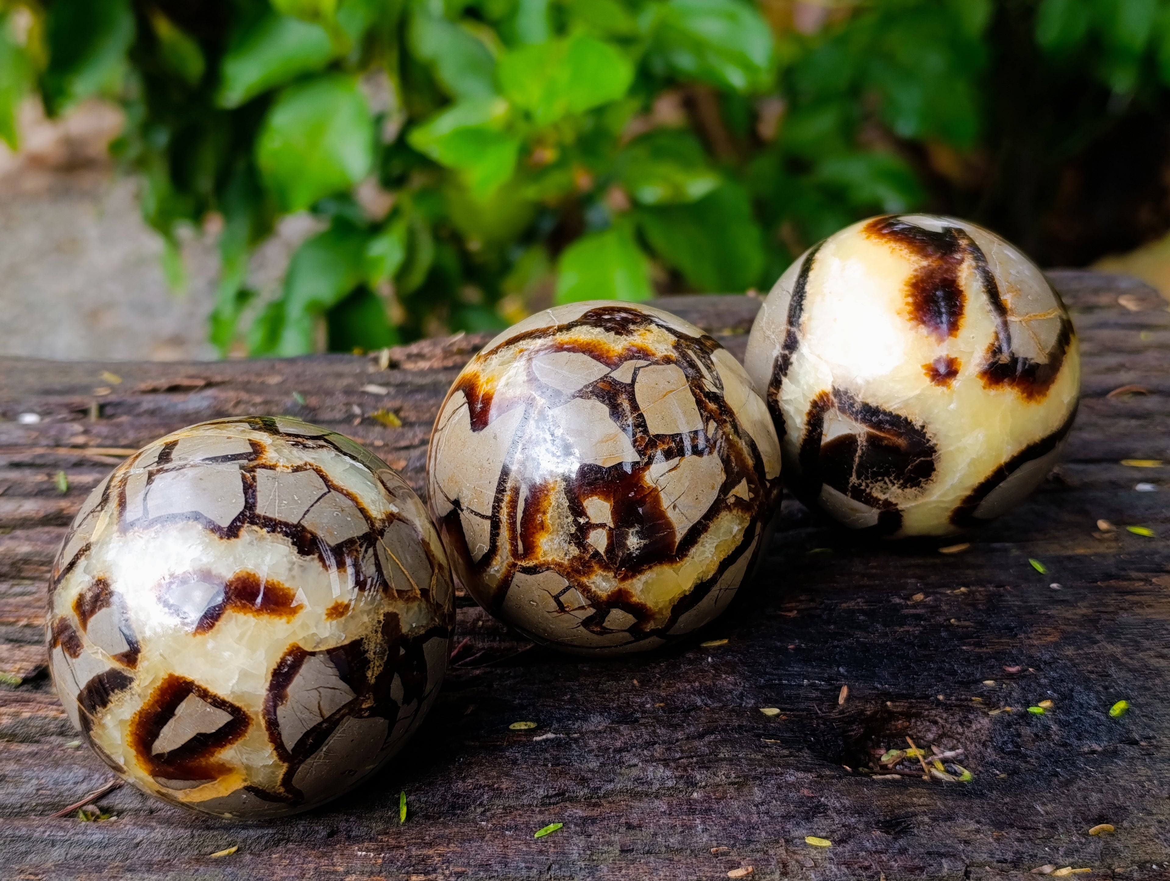 Polished Septerye Spheres x 5 From Mahajanga, Madagascar - Toprock Gemstones and Minerals 