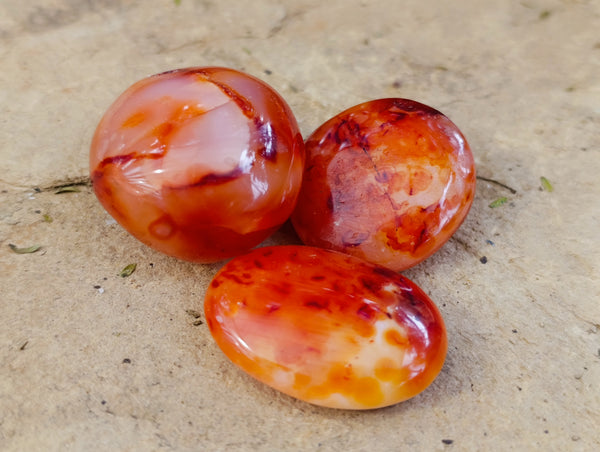 Polished Carnelian Palm Stones x 35 From Madagascar