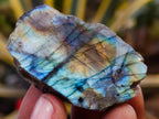 Polished On One Side Labradorite Plates x 35 From Madagascar - Toprock Gemstones and Minerals 