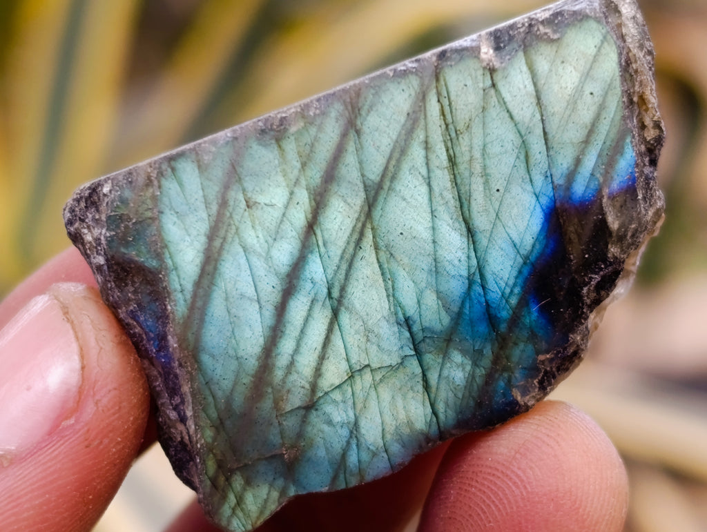 Polished On One Side Labradorite Plates x 35 From Madagascar - Toprock Gemstones and Minerals 