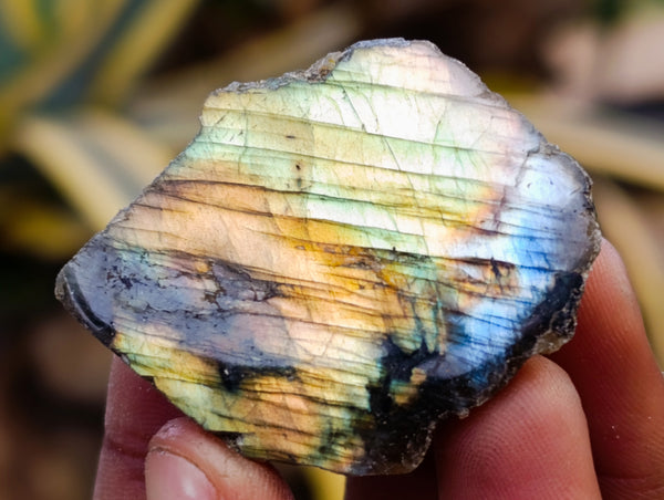 Polished On One Side Labradorite Plates x 35 From Madagascar