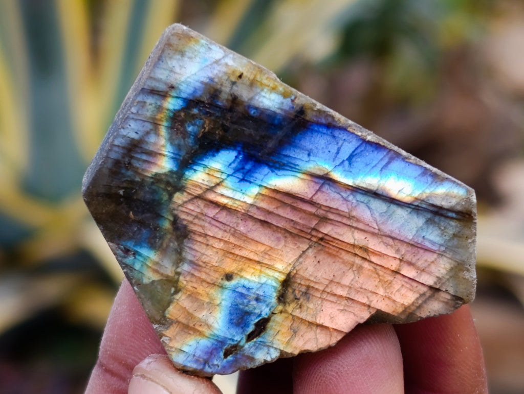 Polished On One Side Labradorite Plates x 35 From Madagascar - Toprock Gemstones and Minerals 