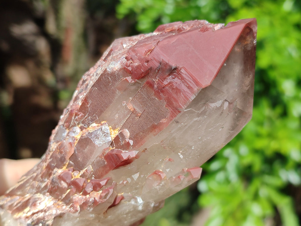 Natural Red Hematoid Quartz Clusters x 3 From Karoi, Zimbabwe - Toprock Gemstones and Minerals 