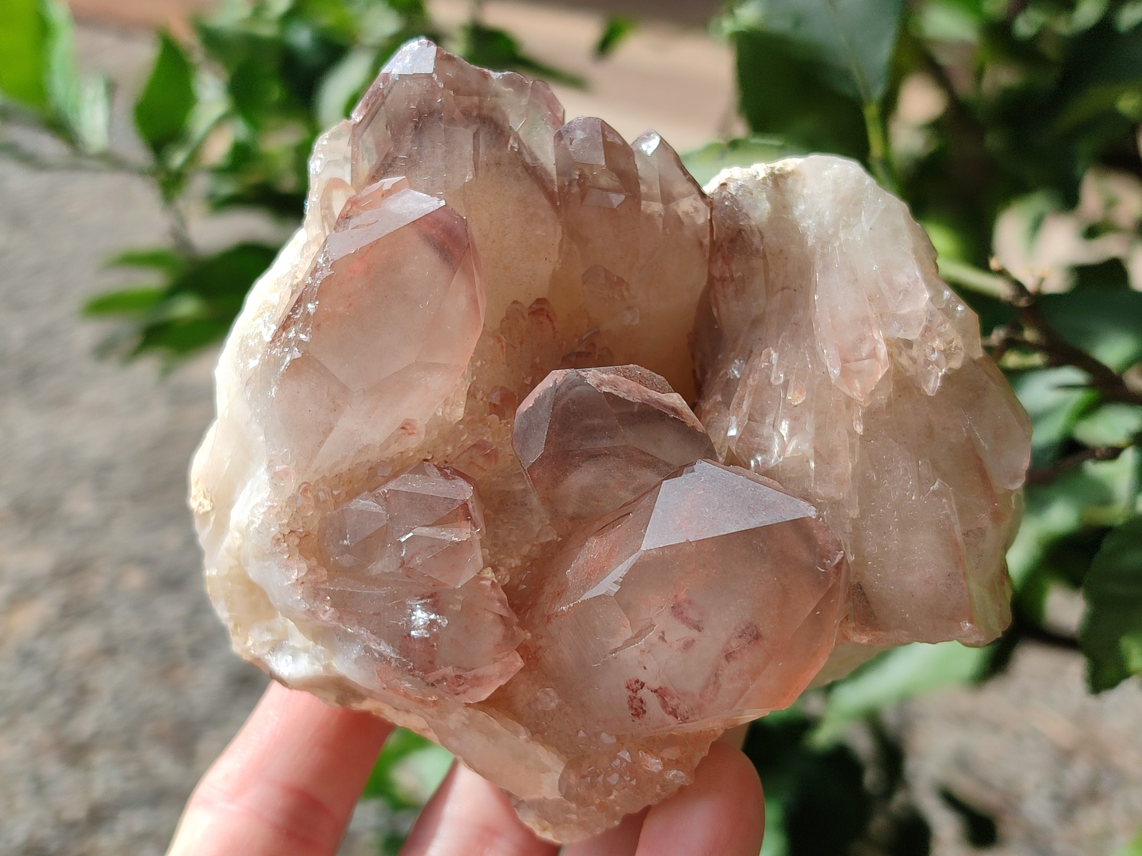 Natural Red Hematoid Quartz Clusters x 3 From Karoi, Zimbabwe - Toprock Gemstones and Minerals 