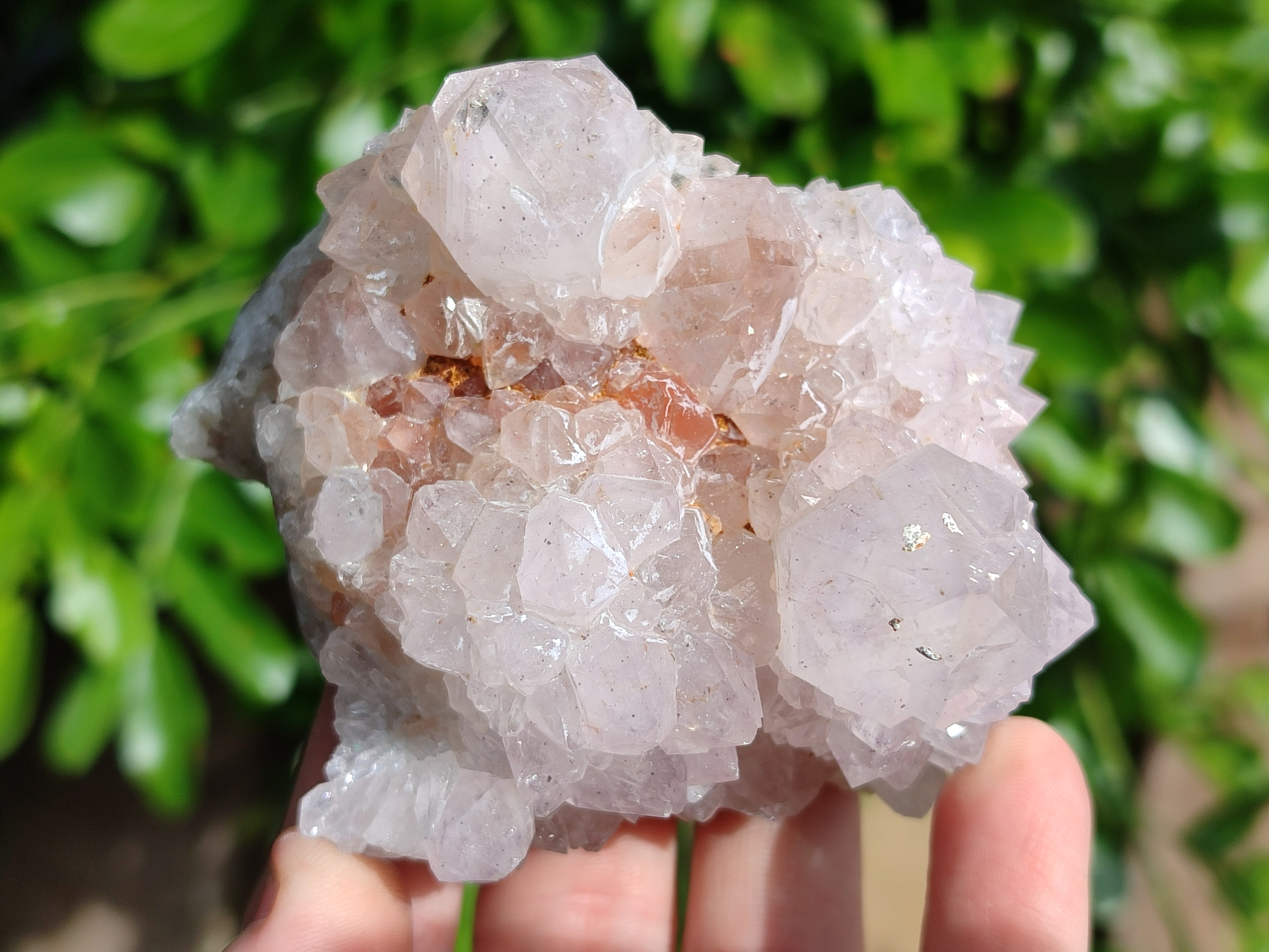 Natural Cactus Flower Amethyst Spirit Quartz Clusters x 4 From South Africa - Toprock Gemstones and Minerals 