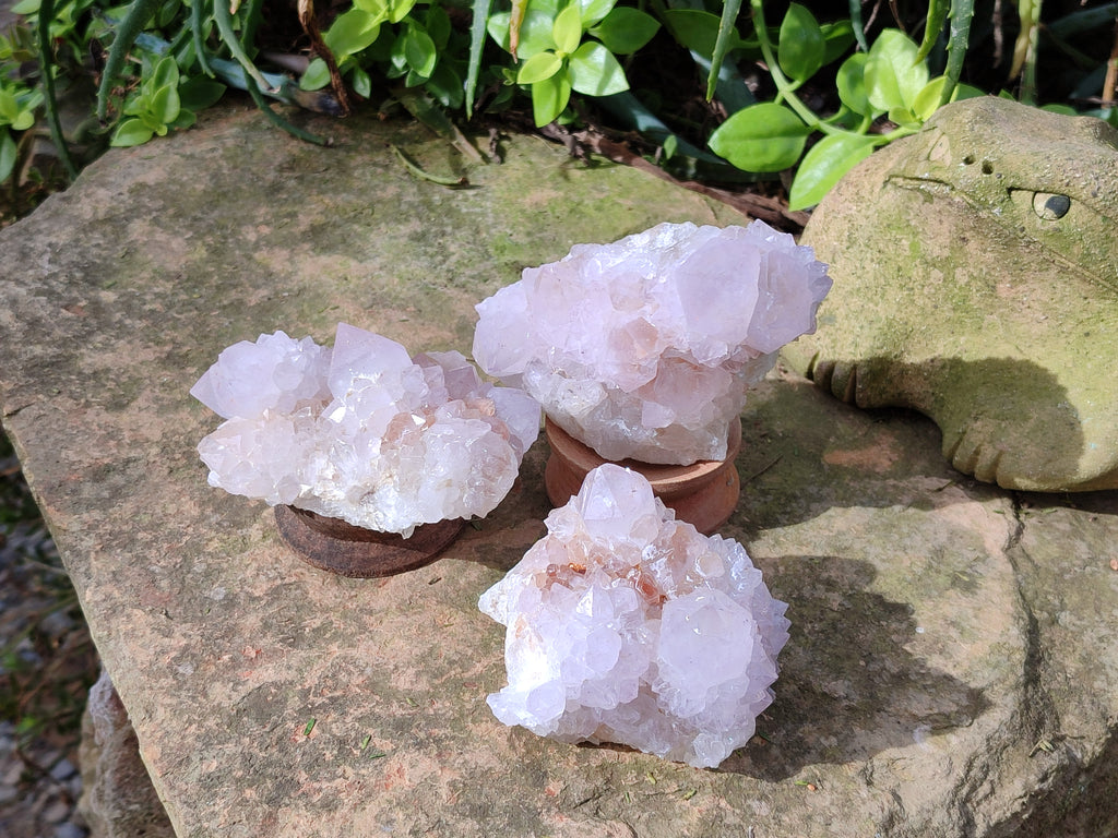Natural Cactus Flower Amethyst Spirit Quartz Clusters x 4 From South Africa - Toprock Gemstones and Minerals 