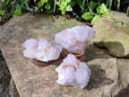 Natural Cactus Flower Amethyst Spirit Quartz Clusters x 4 From South Africa - Toprock Gemstones and Minerals 
