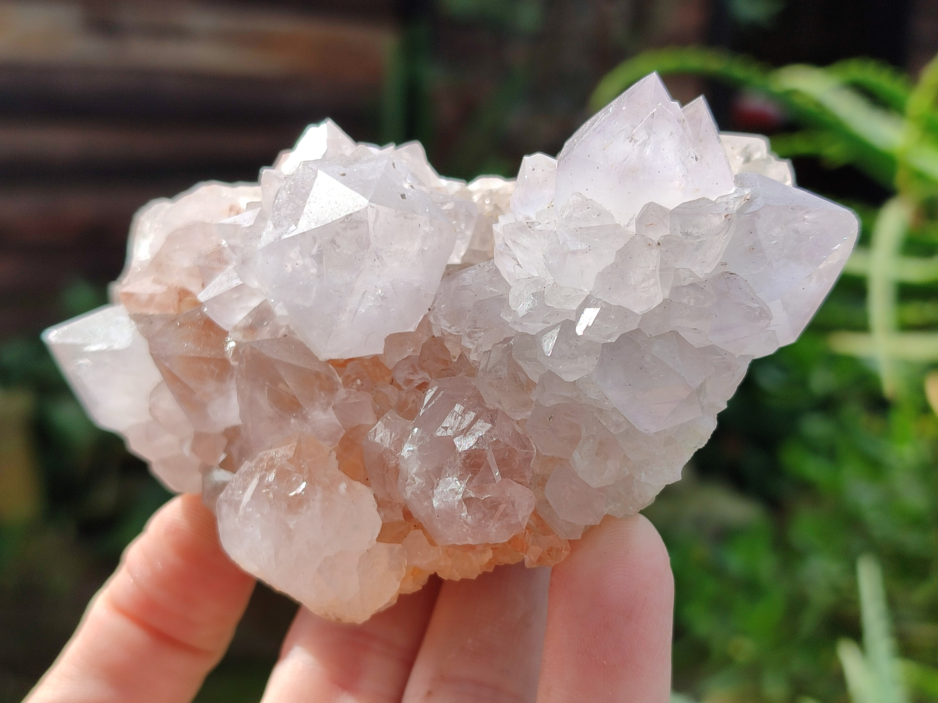 Natural Cactus Flower Amethyst Spirit Quartz Clusters x 4 From South Africa - Toprock Gemstones and Minerals 