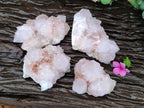 Natural Cactus Flower Amethyst Spirit Quartz Clusters x 4 From South Africa - Toprock Gemstones and Minerals 