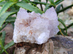 Natural Cactus Flower Amethyst Spirit Quartz Clusters x 4 From South Africa - Toprock Gemstones and Minerals 