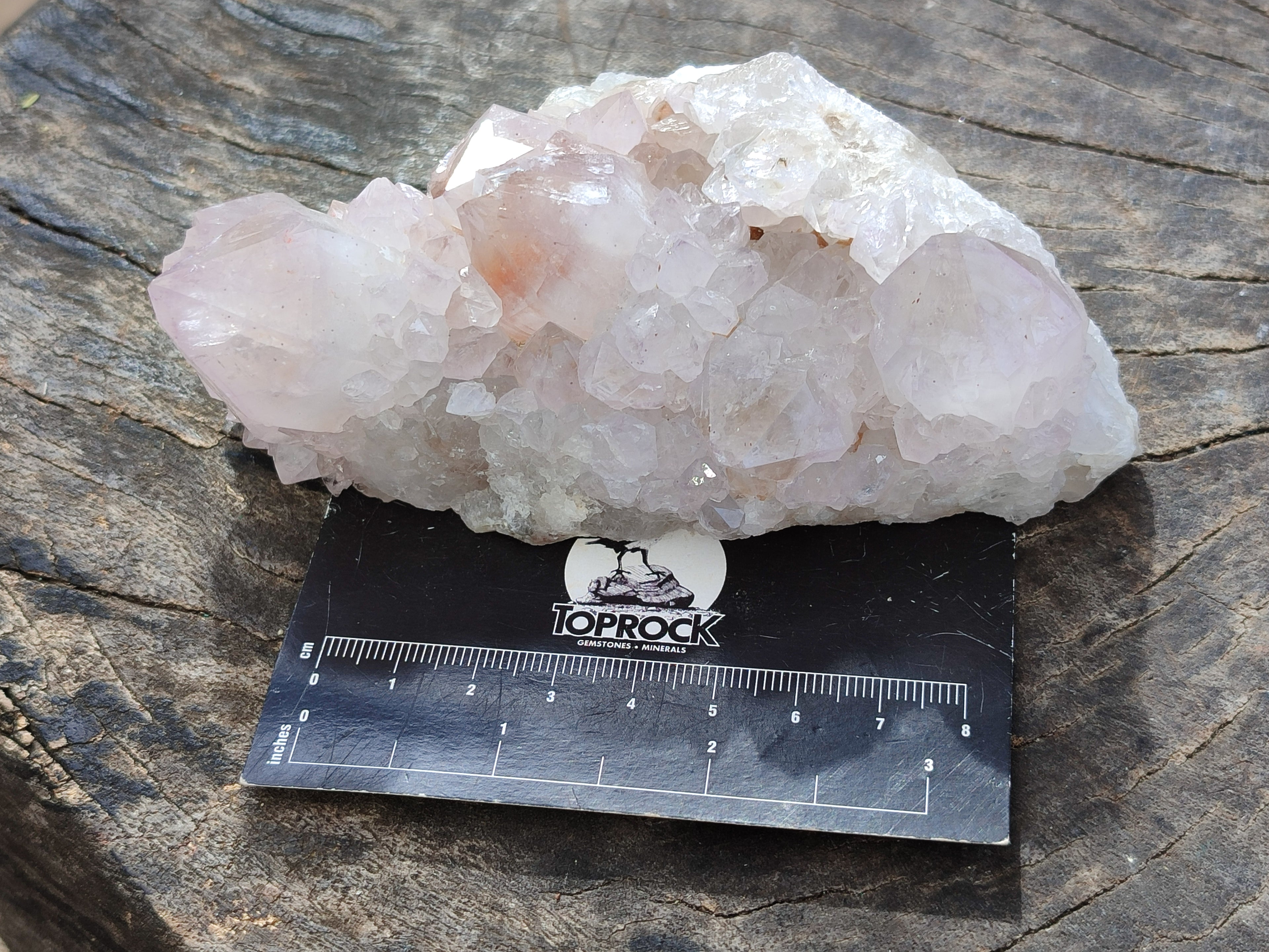 Natural Cactus Flower Amethyst Spirit Quartz Clusters x 4 From South Africa - Toprock Gemstones and Minerals 