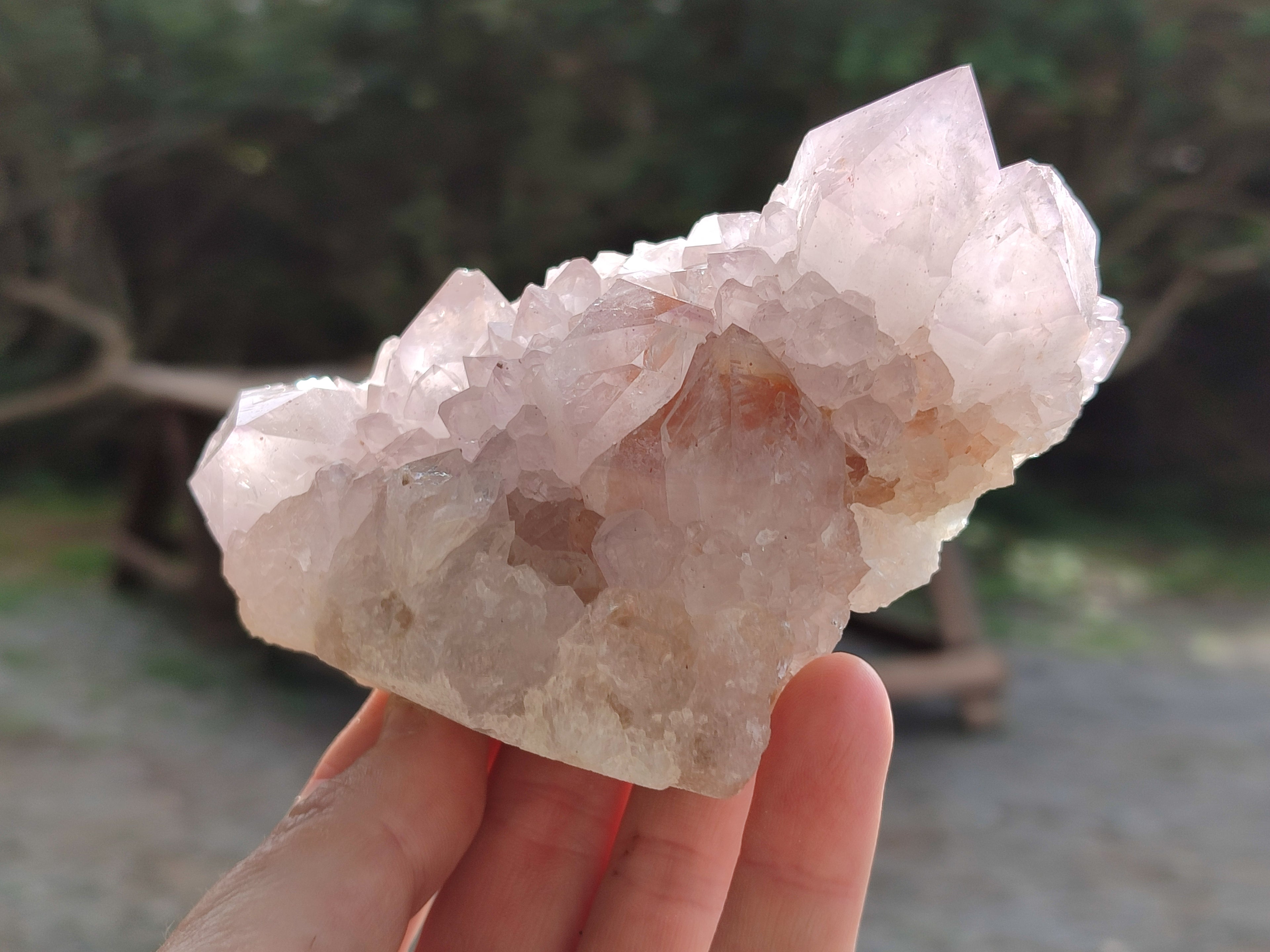 Natural Cactus Flower Amethyst Spirit Quartz Clusters x 4 From South Africa - Toprock Gemstones and Minerals 