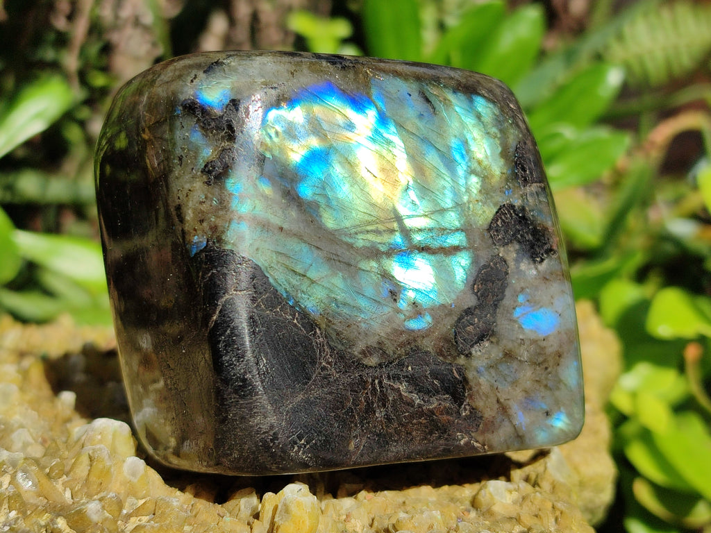 Polished Purple, Gold and Blue Flash Labradorite Standing Free Forms x 4 From Tulear, Madagascar - Toprock Gemstones and Minerals 