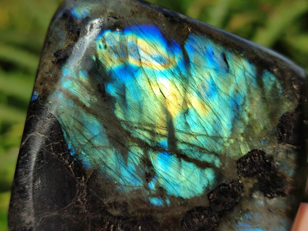 Polished Purple, Gold and Blue Flash Labradorite Standing Free Forms x 4 From Tulear, Madagascar - Toprock Gemstones and Minerals 