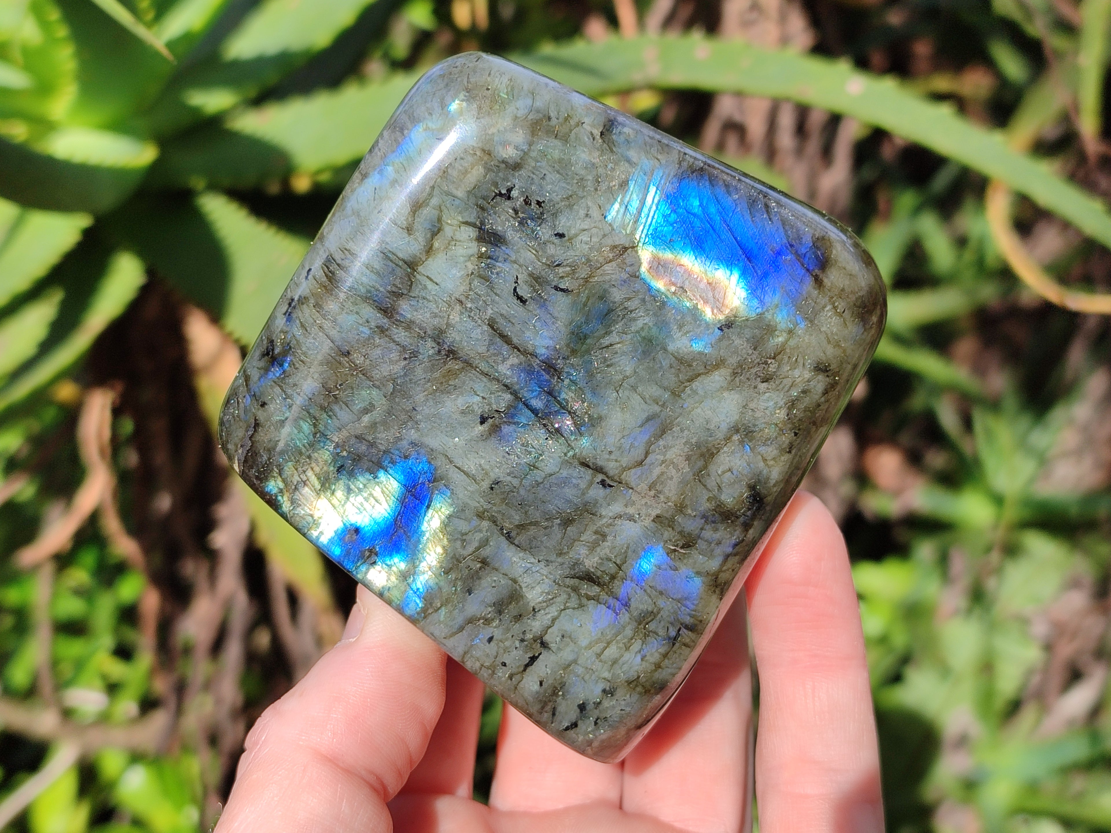 Polished Purple, Gold and Blue Flash Labradorite Standing Free Forms x 4 From Tulear, Madagascar - Toprock Gemstones and Minerals 