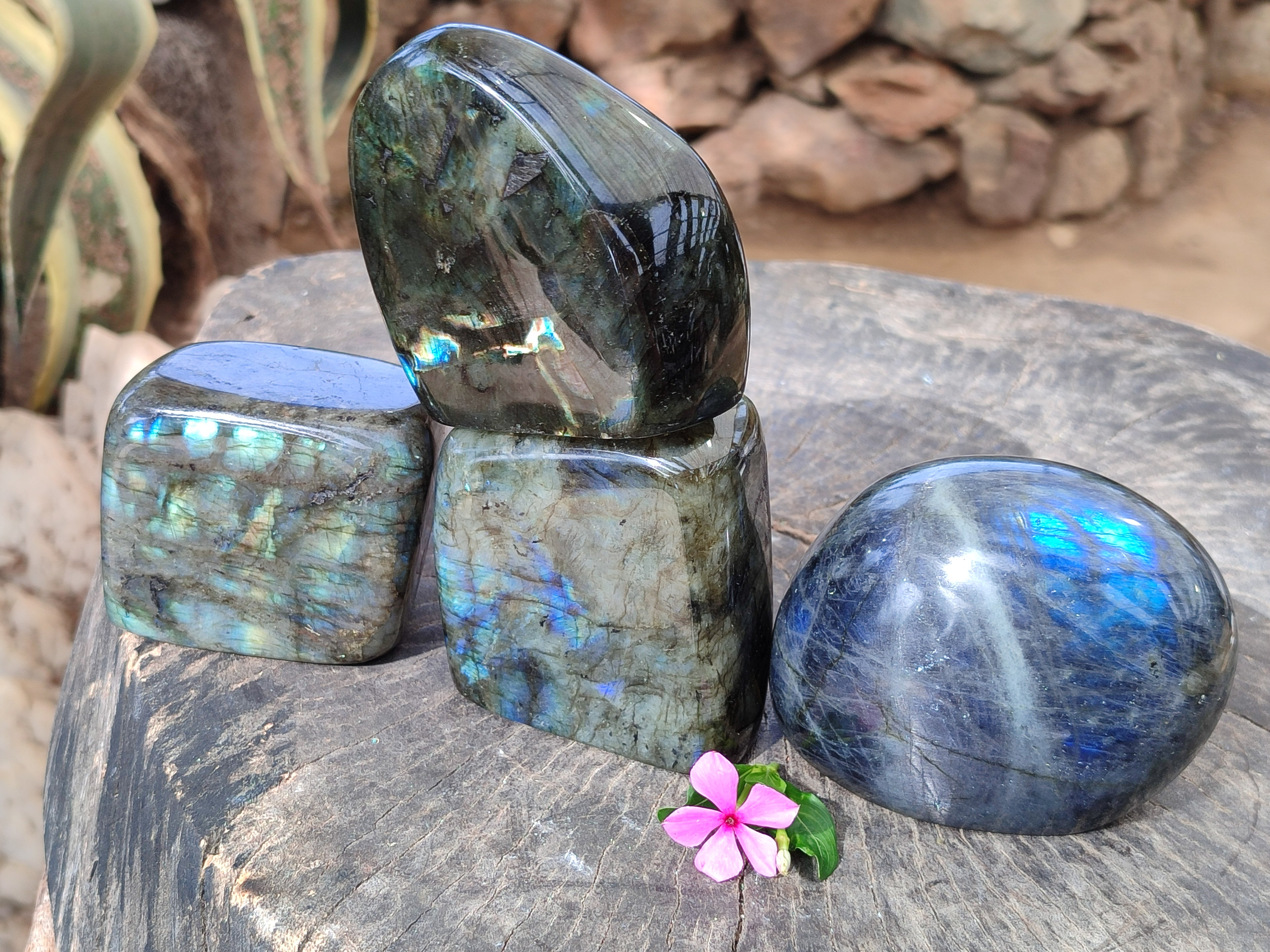 Polished Purple, Gold and Blue Flash Labradorite Standing Free Forms x 4 From Tulear, Madagascar - Toprock Gemstones and Minerals 