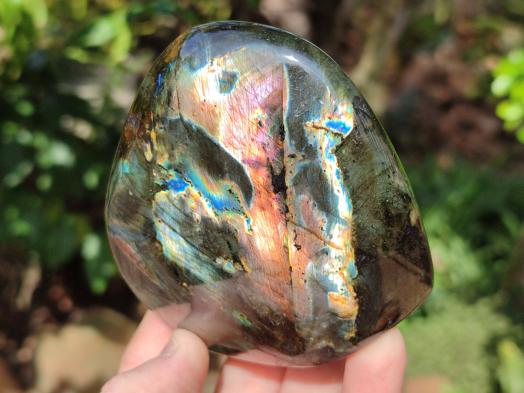 Polished Purple, Gold and Blue Flash Labradorite Standing Free Forms x 4 From Tulear, Madagascar - Toprock Gemstones and Minerals 