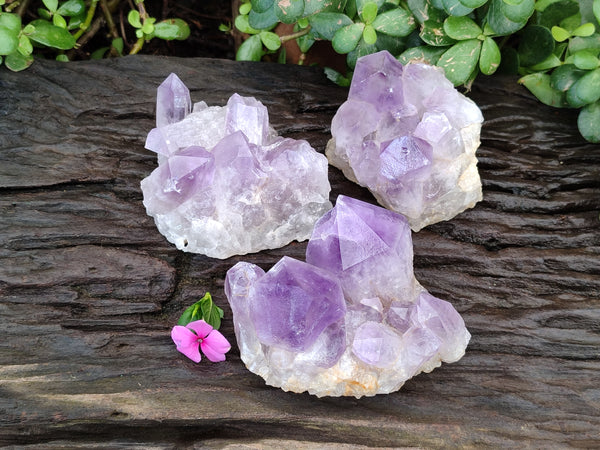 Natural Jacaranda Amethyst Quartz Clusters x 3 From Mumbwa, Zambia
