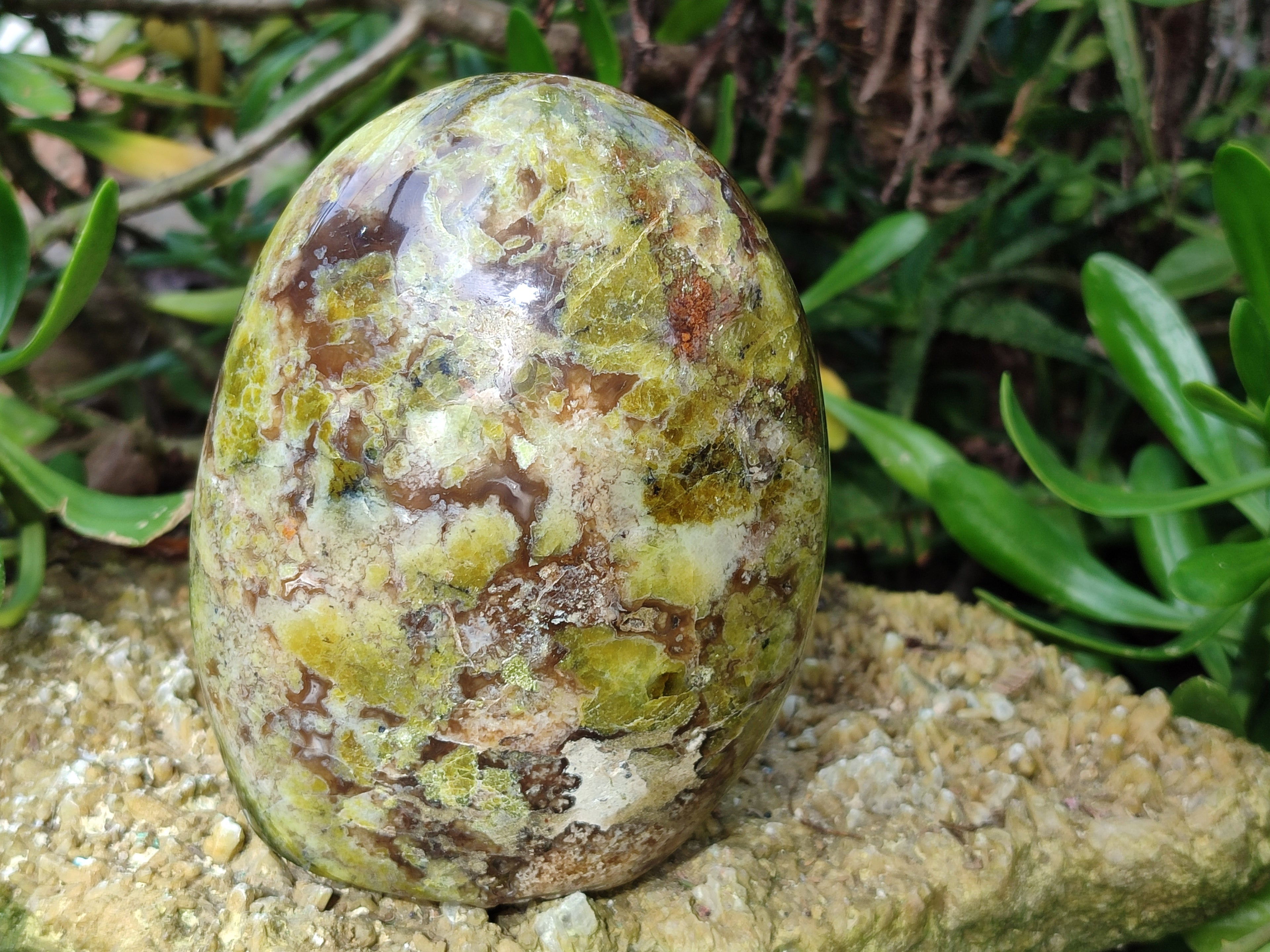 Polished Green Opal Standing Free Forms x 2 From Betroka, Madagascar - Toprock Gemstones and Minerals 