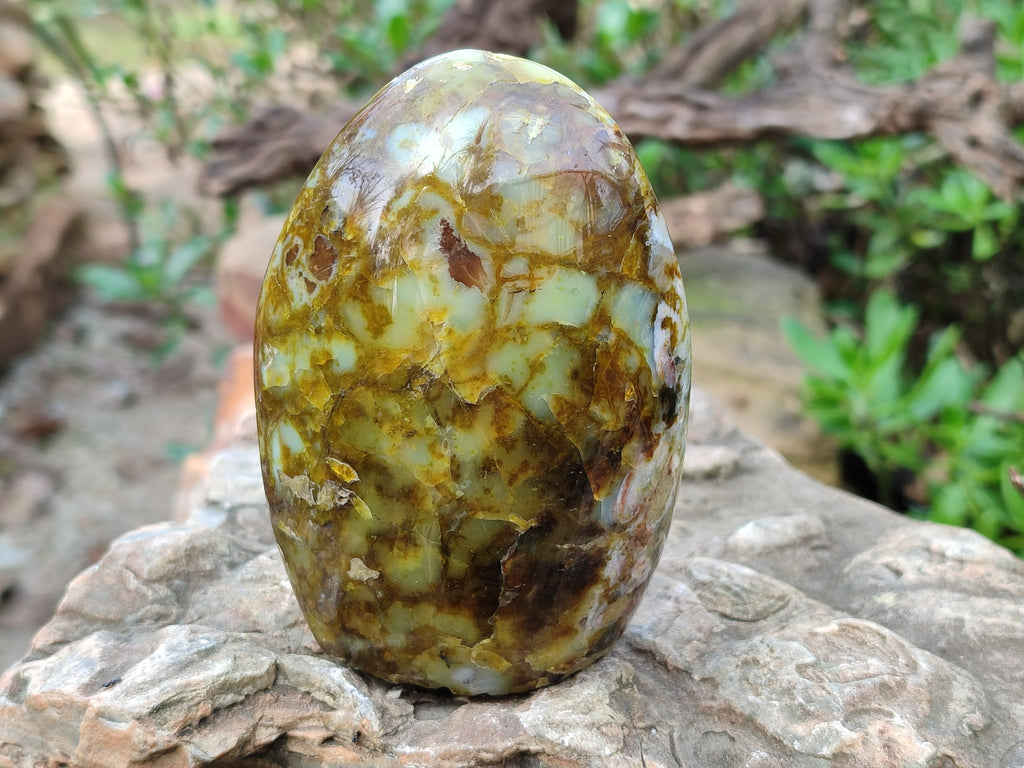 Polished Green Opal Standing Free Forms x 2 From Betroka, Madagascar - Toprock Gemstones and Minerals 