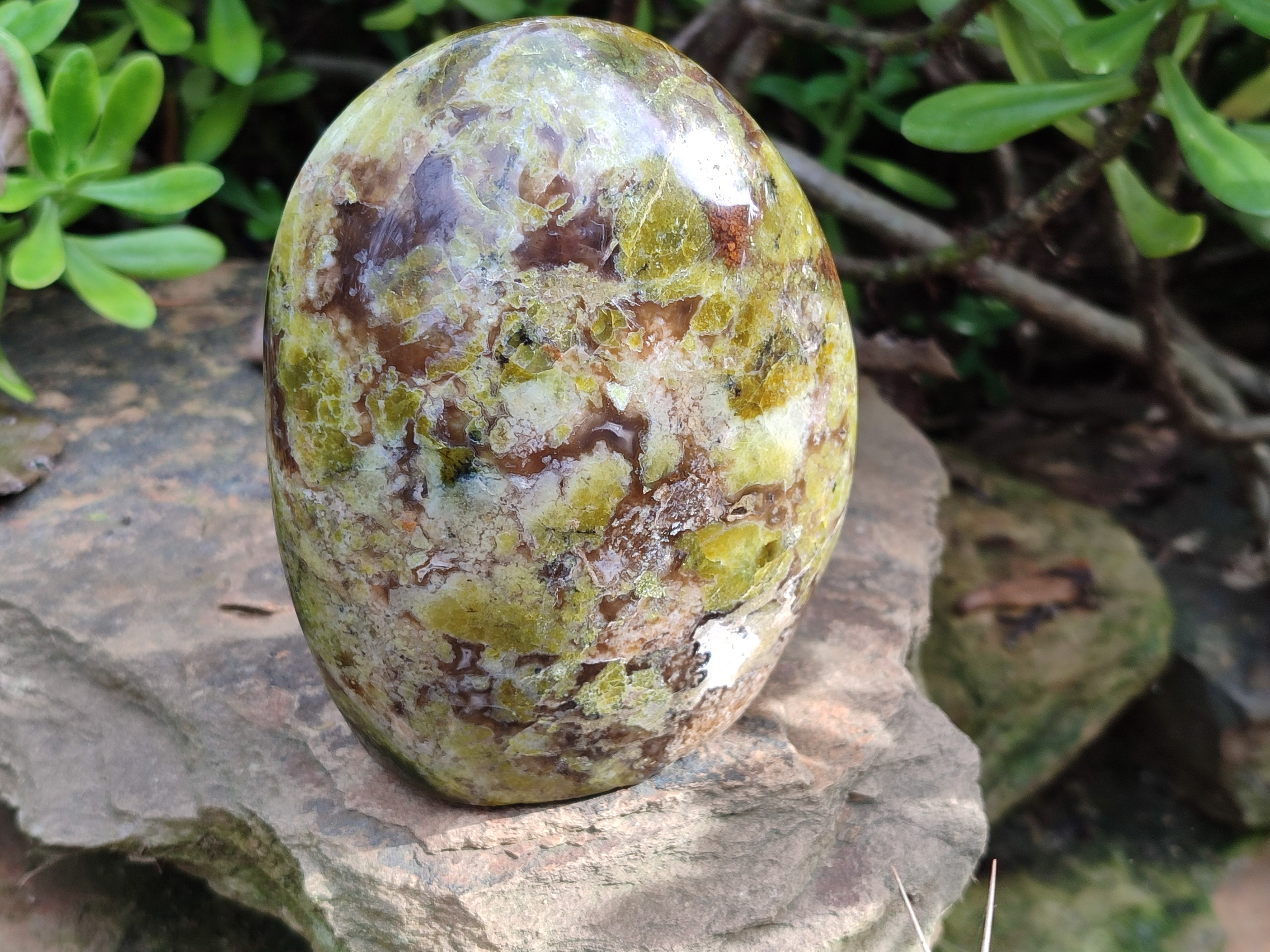 Polished Green Opal Standing Free Forms x 2 From Betroka, Madagascar - Toprock Gemstones and Minerals 