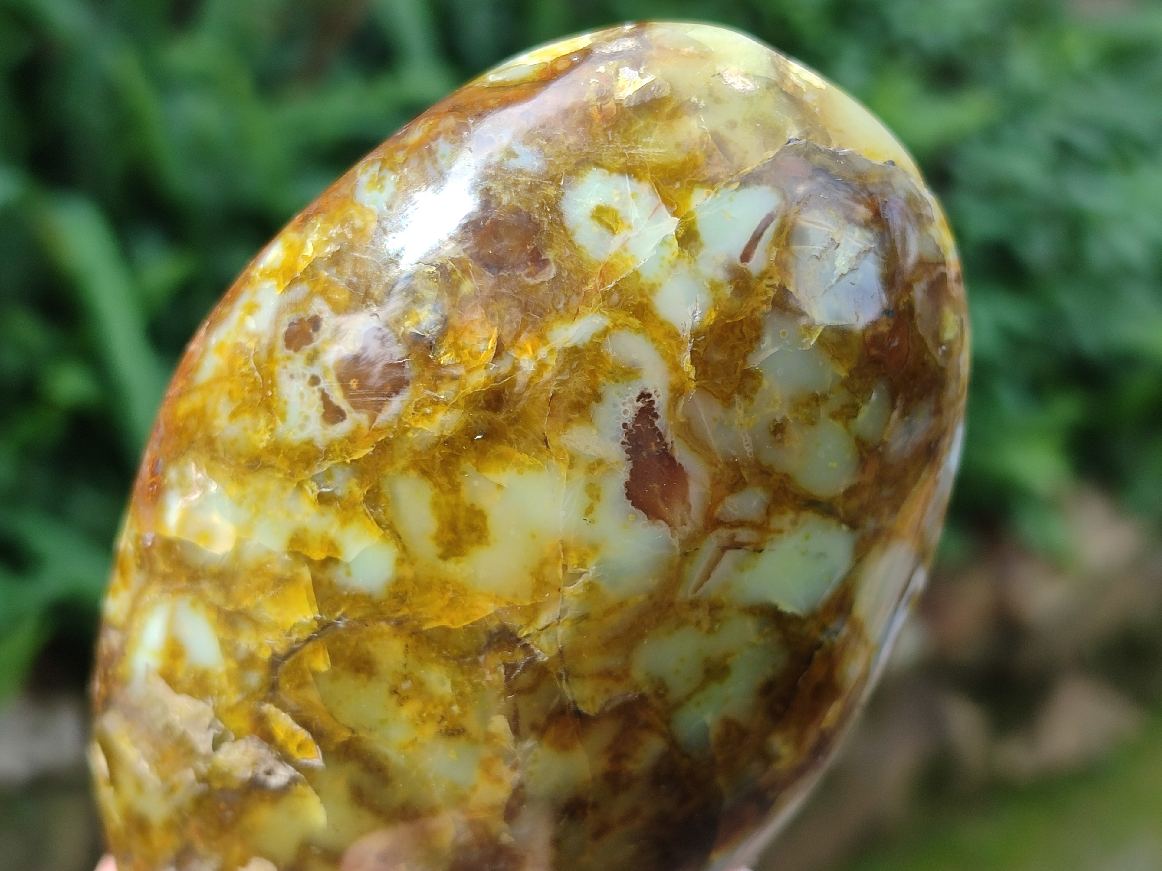 Polished Green Opal Standing Free Forms x 2 From Betroka, Madagascar - Toprock Gemstones and Minerals 