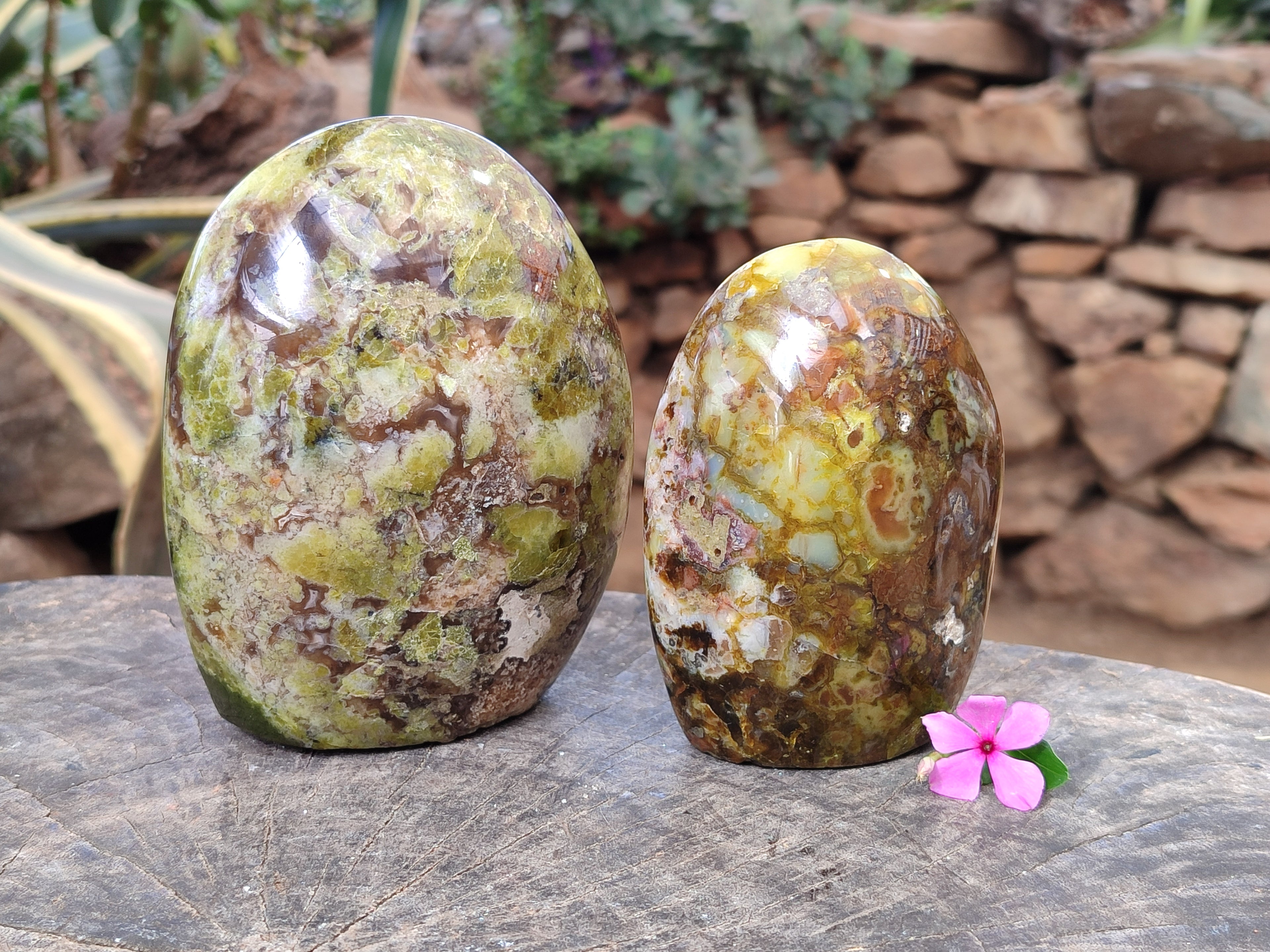 Polished Green Opal Standing Free Forms x 2 From Betroka, Madagascar - Toprock Gemstones and Minerals 