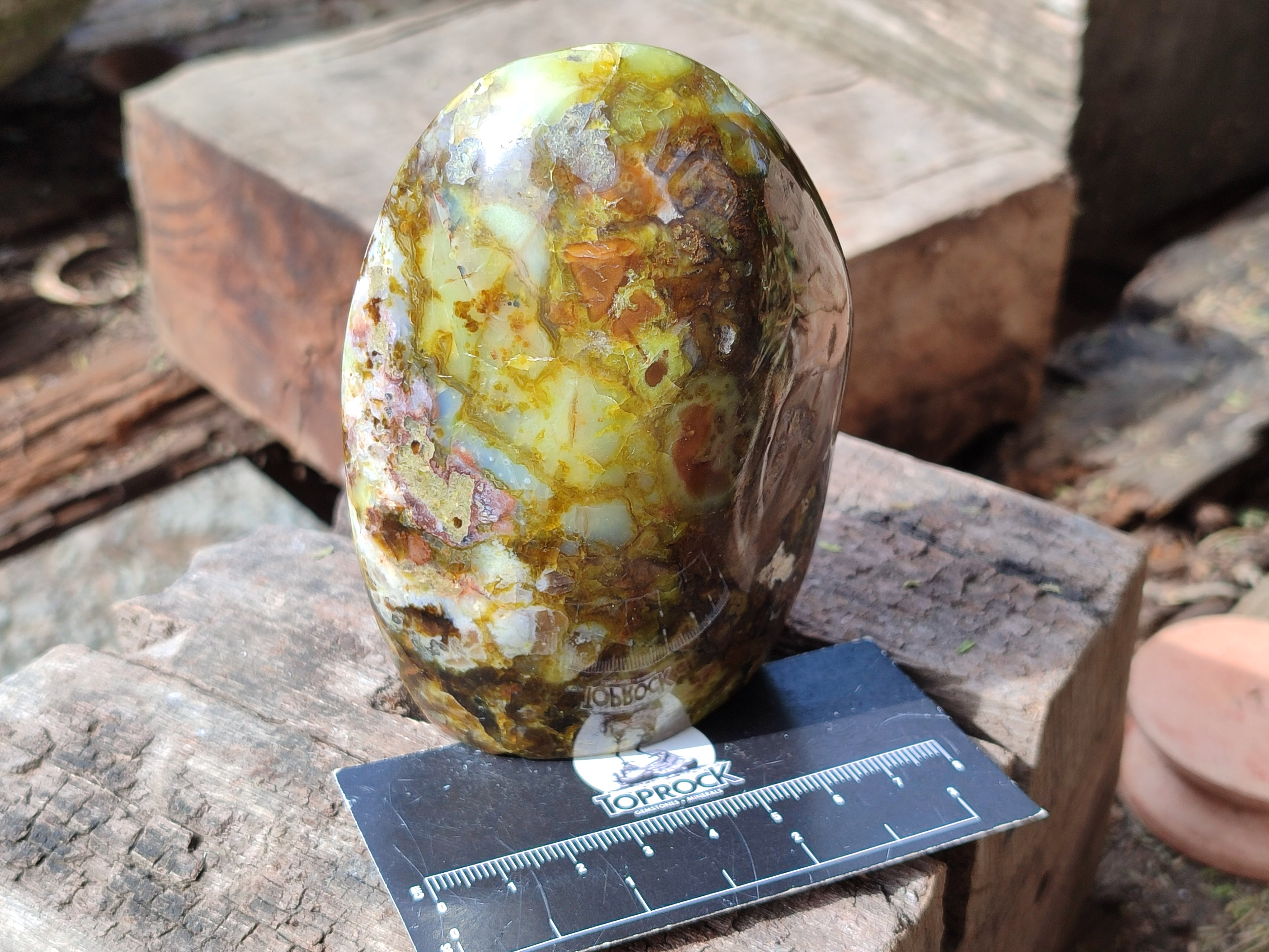 Polished Green Opal Standing Free Forms x 2 From Betroka, Madagascar - Toprock Gemstones and Minerals 