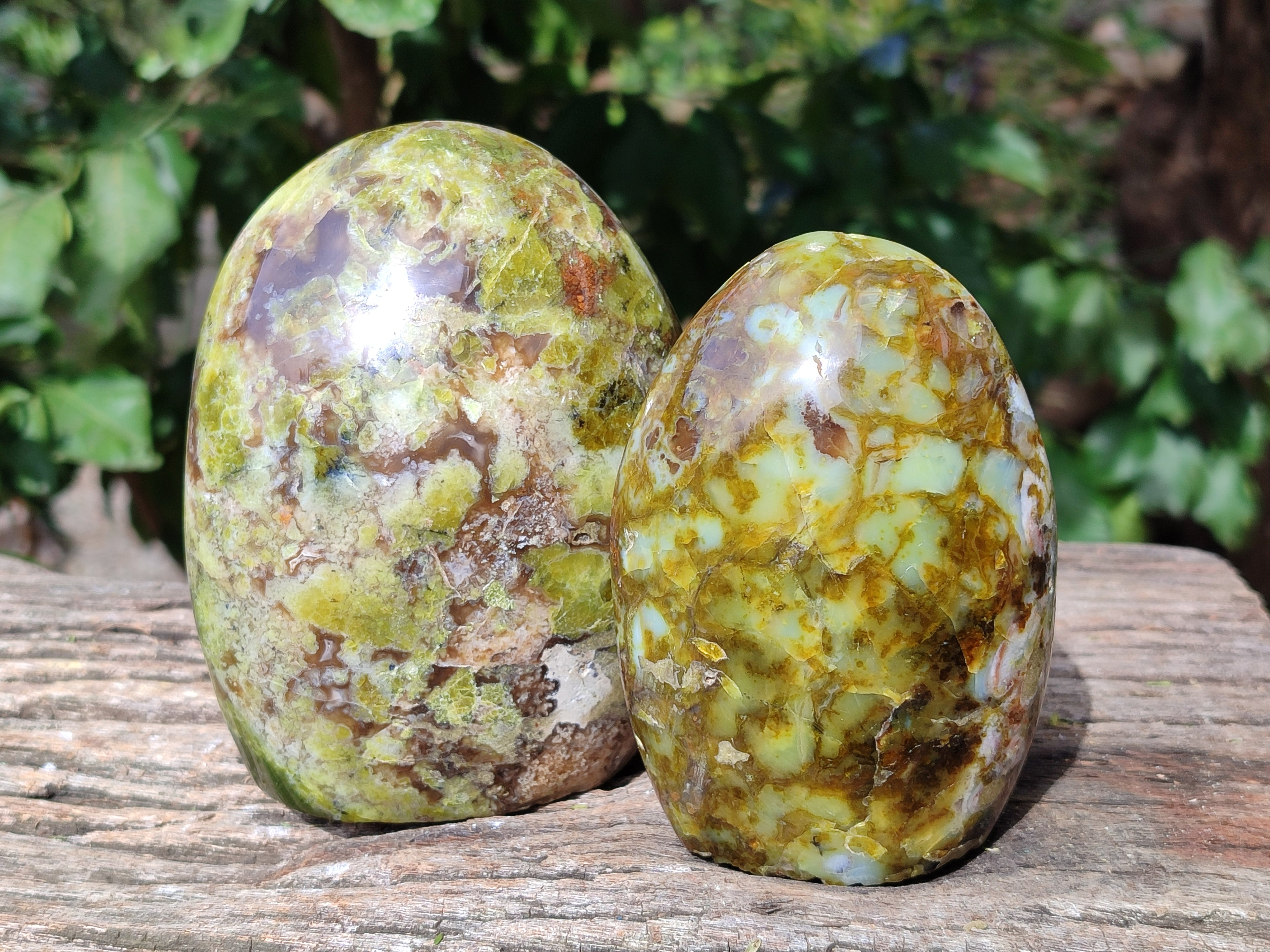 Polished Green Opal Standing Free Forms x 2 From Betroka, Madagascar - Toprock Gemstones and Minerals 