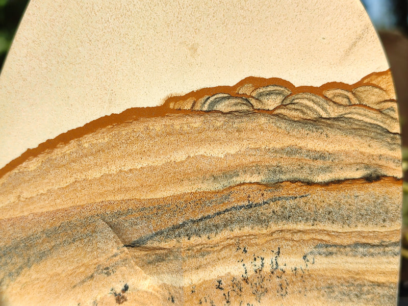 files/165498_10.jpg