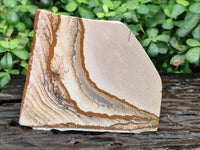 Polished Picture Stone Jasper Slices x 4 From Ais-Ais, Namibia