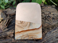 Polished Picture Stone Jasper Slices x 4 From Ais-Ais, Namibia