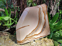 Polished Picture Stone Jasper Slices x 4 From Ais-Ais, Namibia