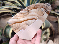 Polished Picture Stone Jasper Slices x 4 From Ais-Ais, Namibia
