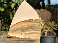 Polished Picture Stone Jasper Slices x 4 From Ais-Ais, Namibia