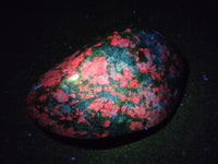 Polished Ruby Corundum In Chrome Verdite Free Forms x 6 From Zimbabwe - Toprock Gemstones and Minerals 