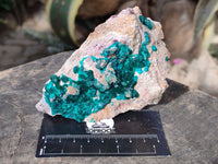 Natural Dioptase On Dolomite Specimens x 3 From Likasi, Congo - Toprock Gemstones and Minerals 