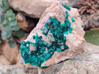 Natural Dioptase On Dolomite Specimens x 3 From Likasi, Congo - Toprock Gemstones and Minerals 
