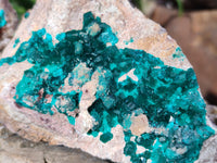 Natural Dioptase On Dolomite Specimens x 3 From Likasi, Congo - Toprock Gemstones and Minerals 