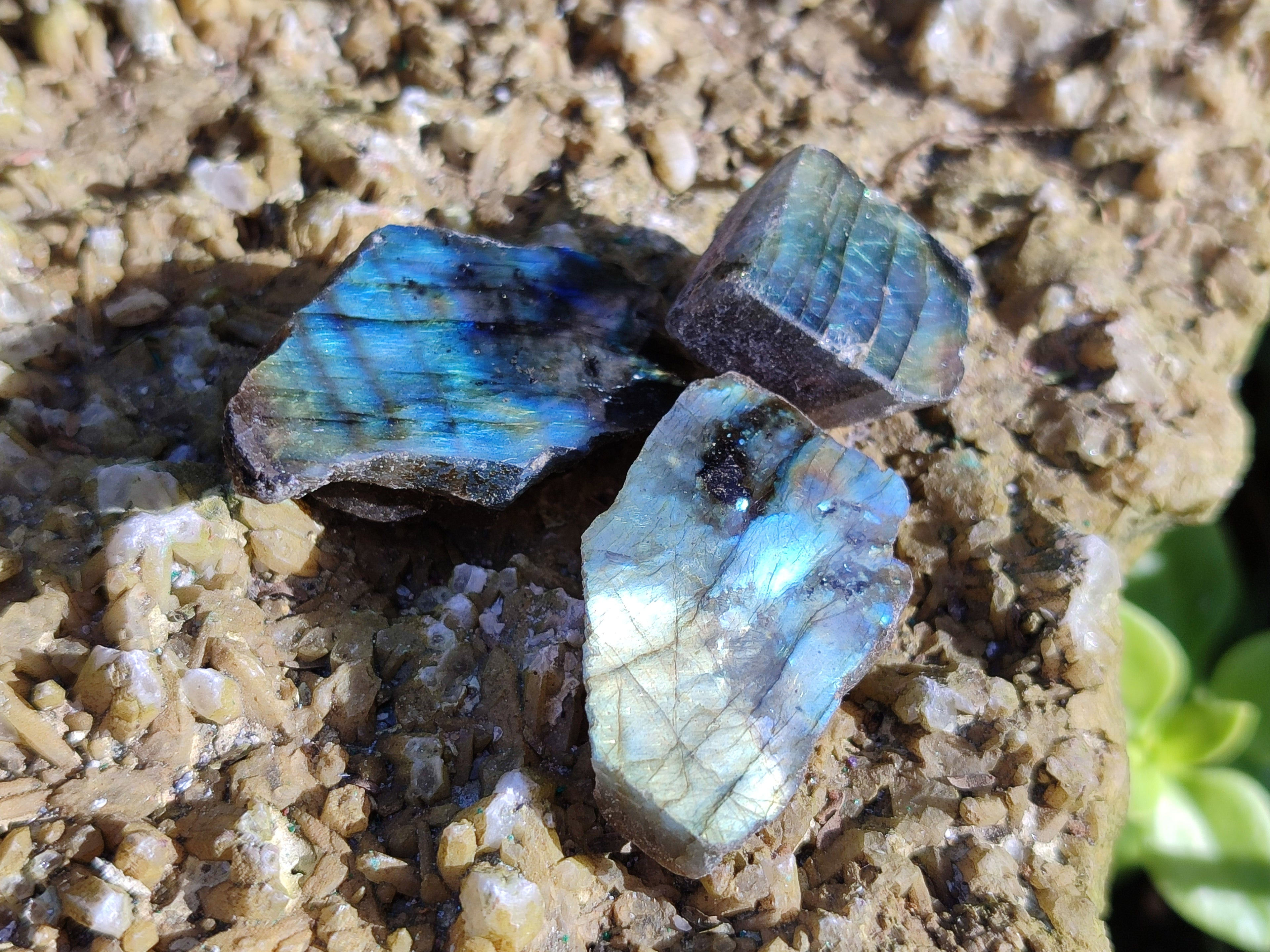 Polished On One Side Small Labradorite Plates x 70 From Tulear, Madagascar - Toprock Gemstones and Minerals 