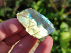 Polished On One Side Small Labradorite Plates x 70 From Tulear, Madagascar - Toprock Gemstones and Minerals 
