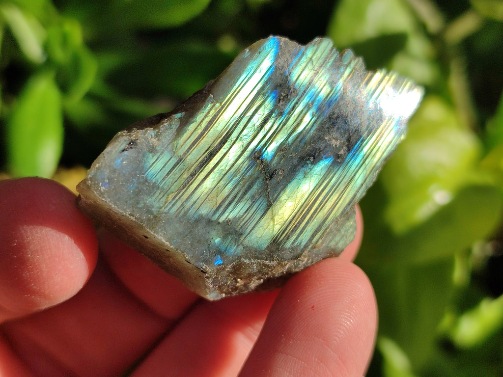 Polished On One Side Small Labradorite Plates x 70 From Tulear, Madagascar - Toprock Gemstones and Minerals 